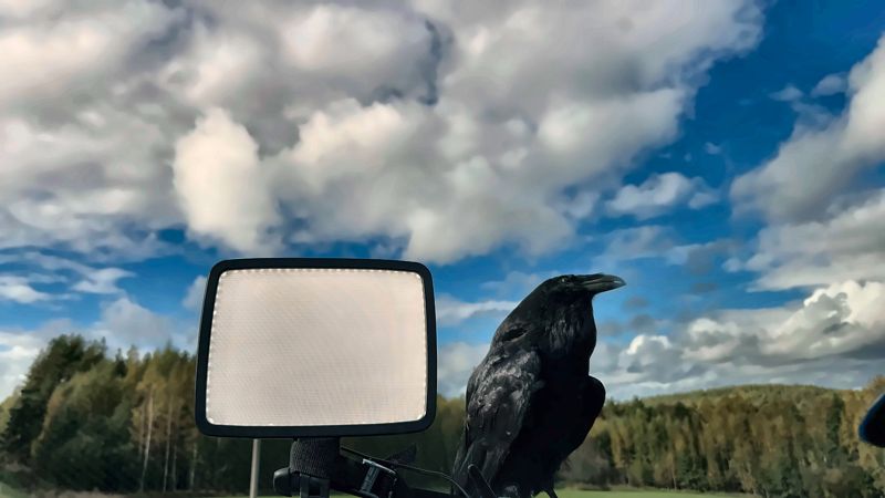 Imagen de Wanha Näätä, 1/5